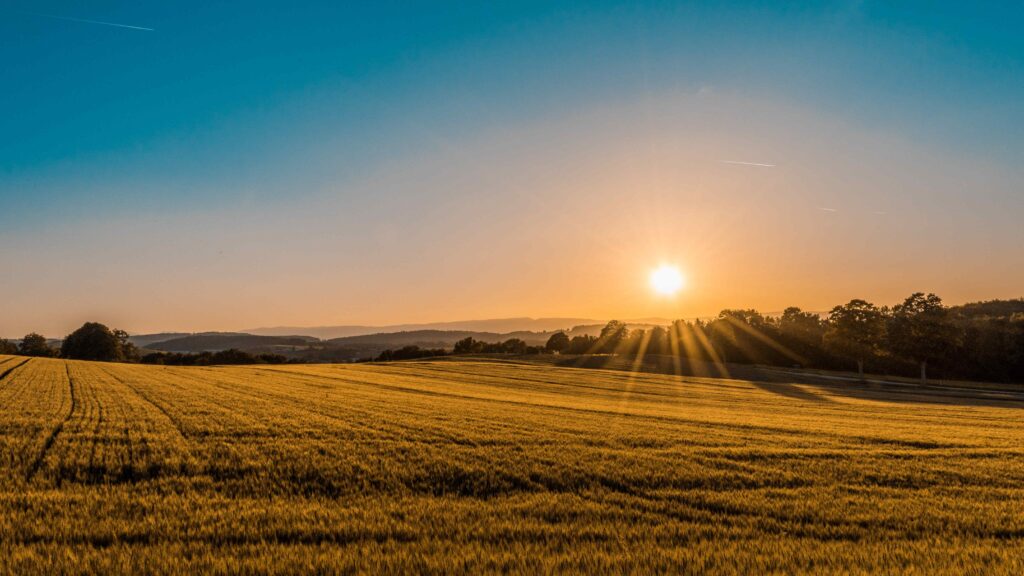 Solnedgang
