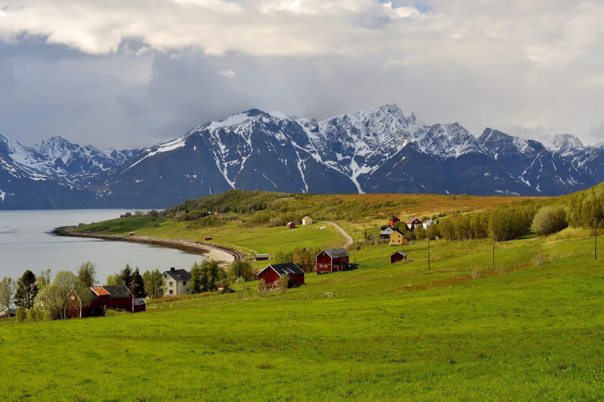 Mental Helse - Lyngen / Ivgu - Mental Helse - Lyngen